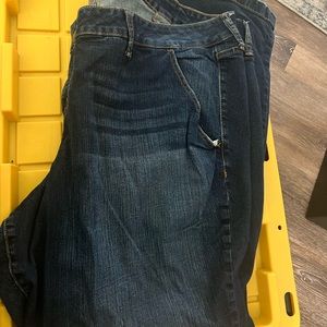Torrid Plus Size Jeans